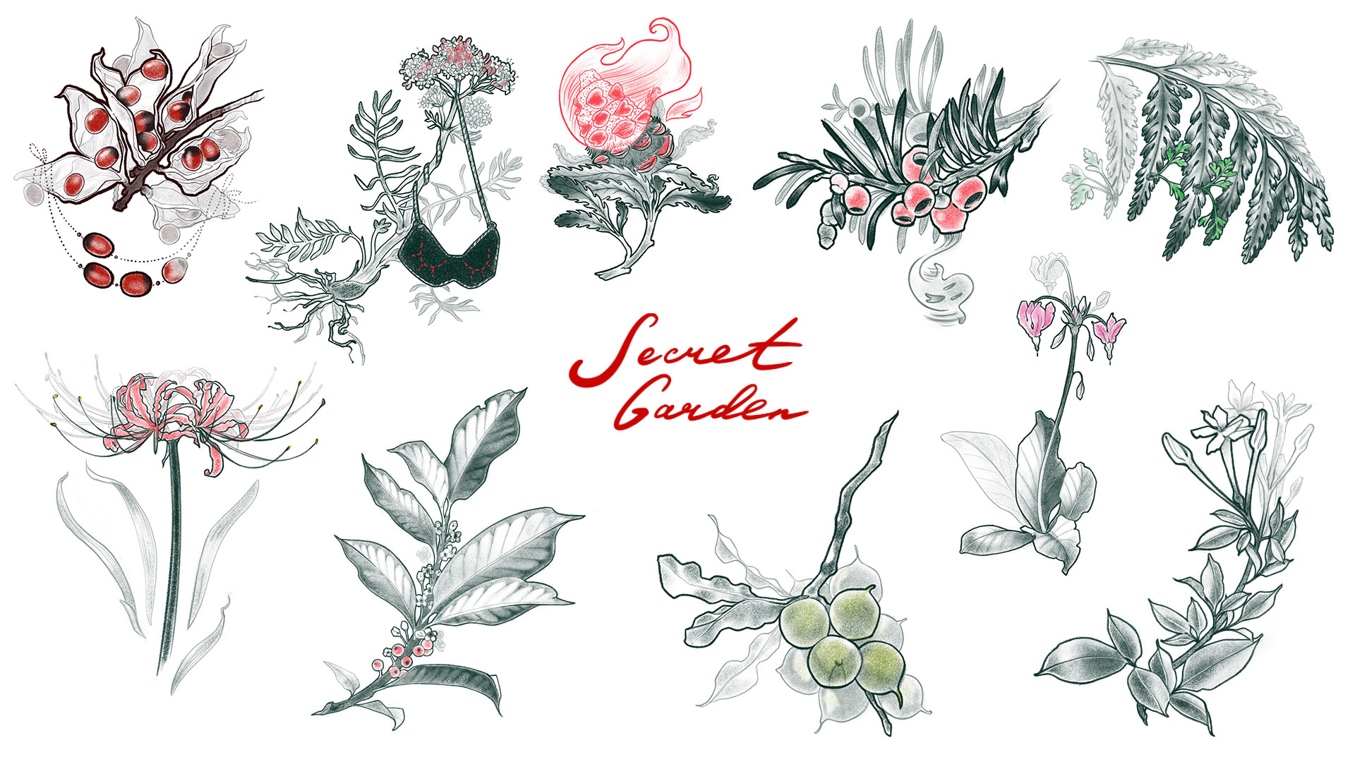 Botanical Tattoo Designs: Secret Garden - Natasha Tsozik