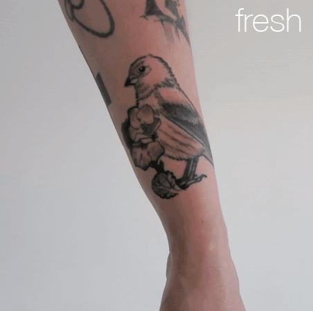 Bird Tattoo Designs & Ideas for Men and Women