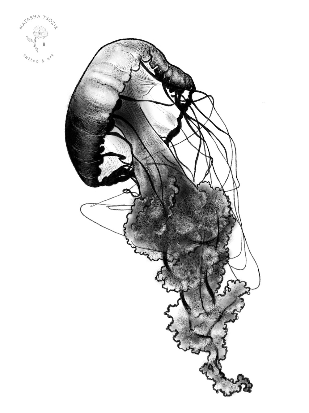 Jellyfish-