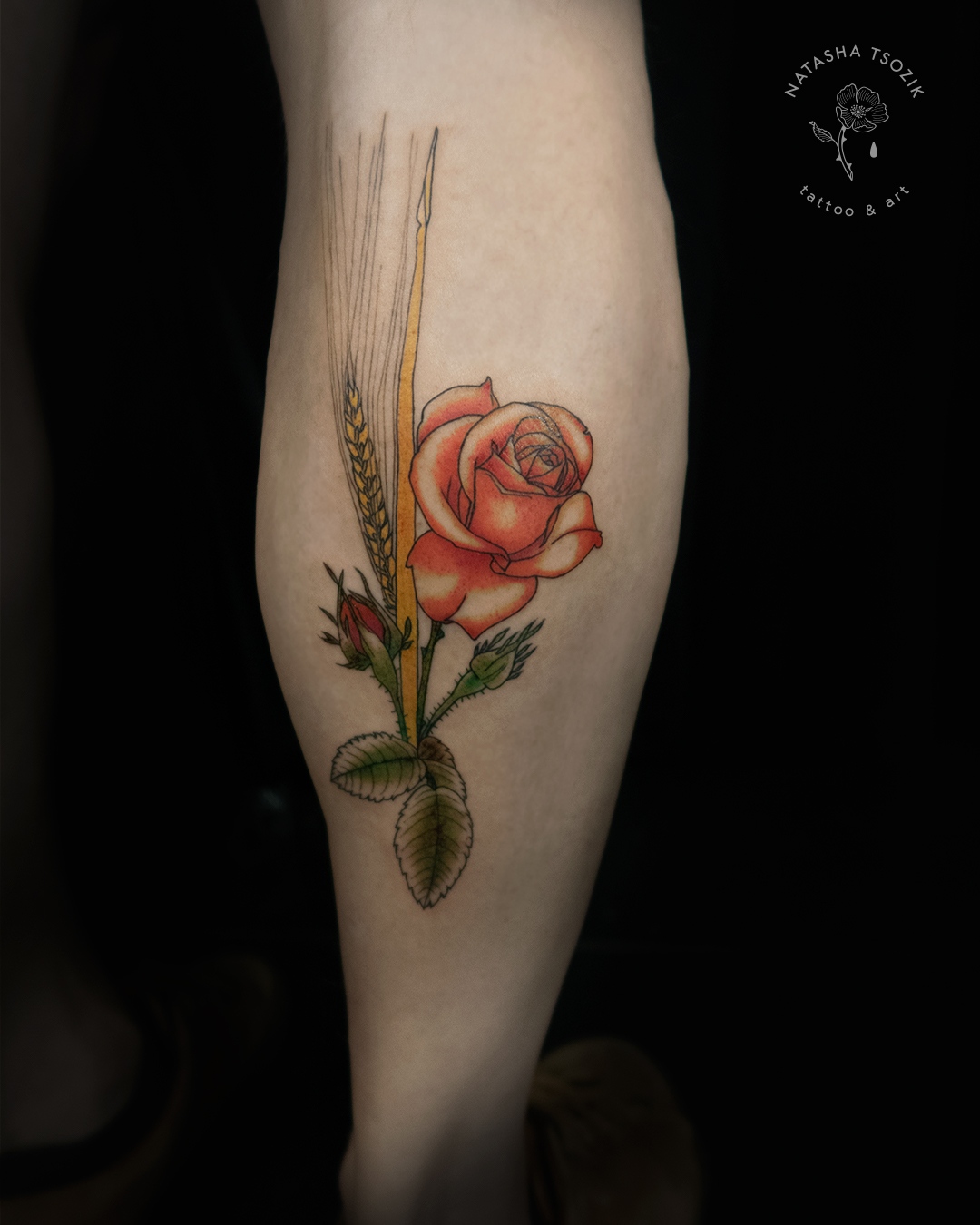 rose-by-Natasha-Tsozik-feed