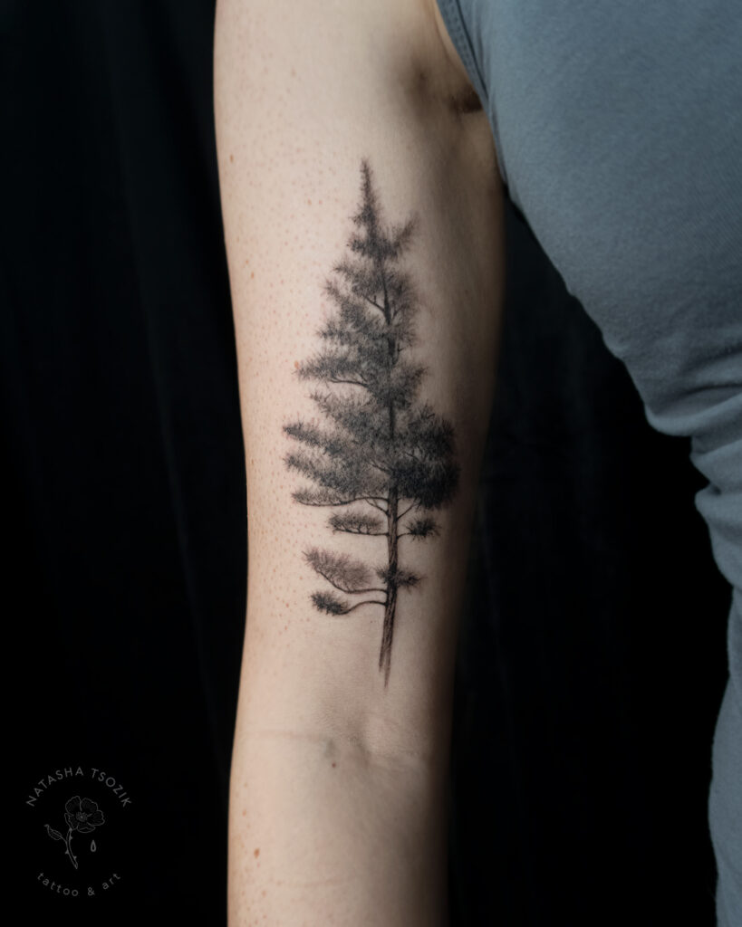 Realistic Redwood tattoo on an inner bicep