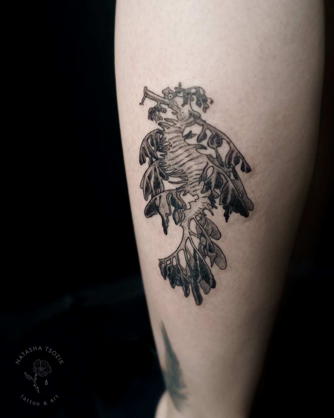 Seahorse tattoo on a leg.