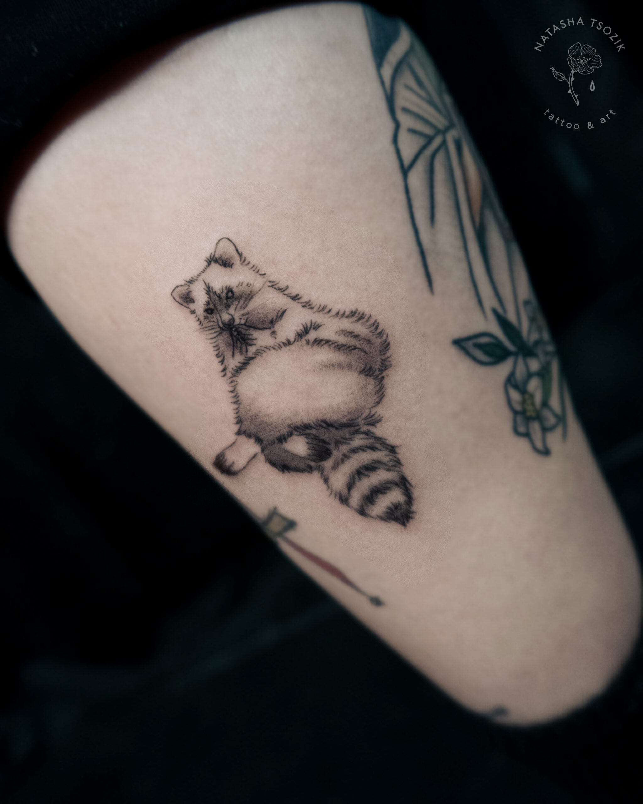 A fine line raccoon tattoo on a leg.