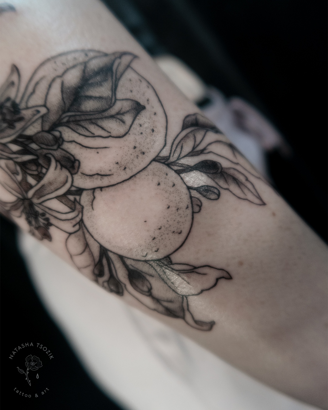 101 Amazing Olive Branch Tattoo Designs You Need To See 