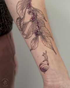 Beautyberry and a snail tattoo