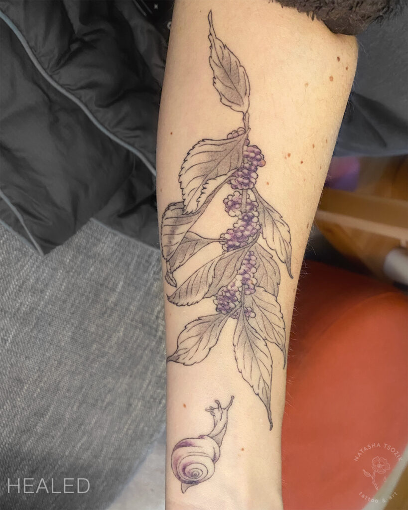 Healed Beautyberry tattoo on a forearm