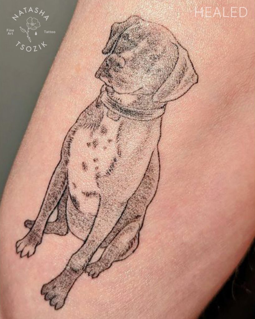 Healed dog tattoo by Natasha Tsozik.